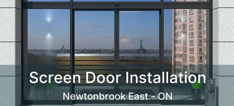  Screen Door Installation Newtonbrook East - ON