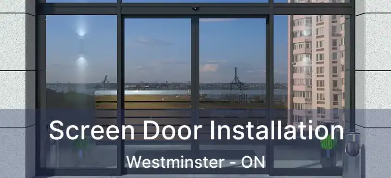  Screen Door Installation Westminster - ON