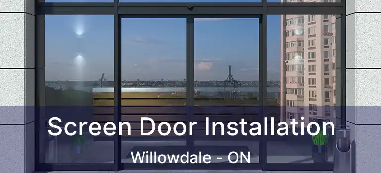  Screen Door Installation Willowdale - ON
