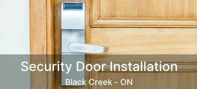  Security Door Installation Black Creek - ON