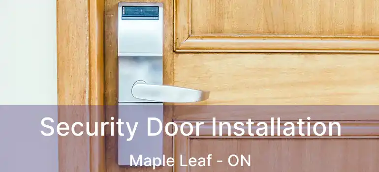  Security Door Installation Maple Leaf - ON