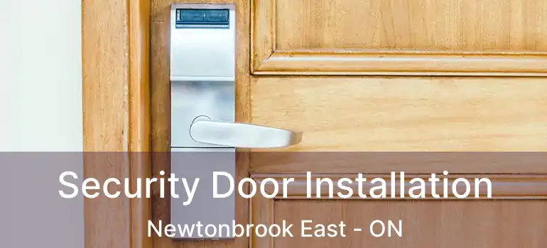  Security Door Installation Newtonbrook East - ON