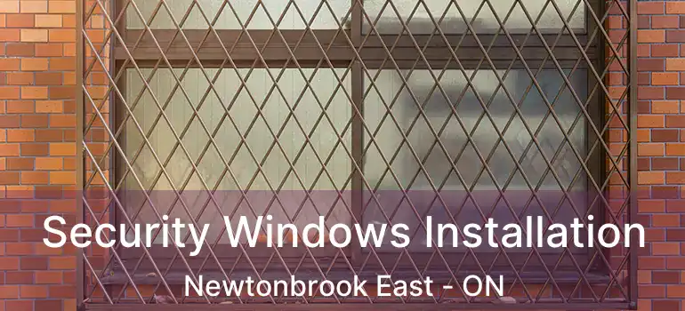  Security Windows Installation Newtonbrook East - ON