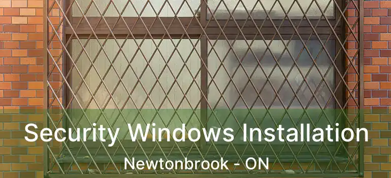  Security Windows Installation Newtonbrook - ON