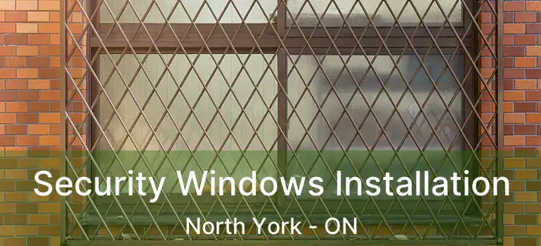  Security Windows Installation North York - ON