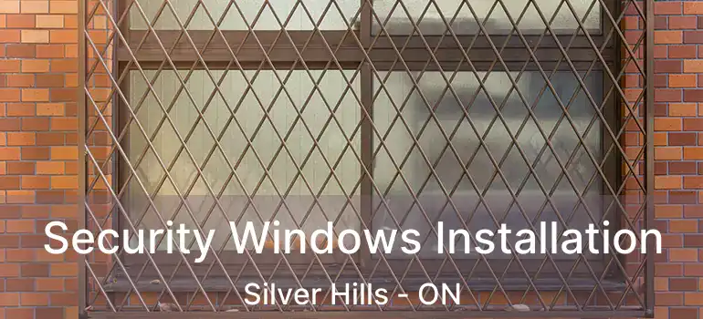  Security Windows Installation Silver Hills - ON