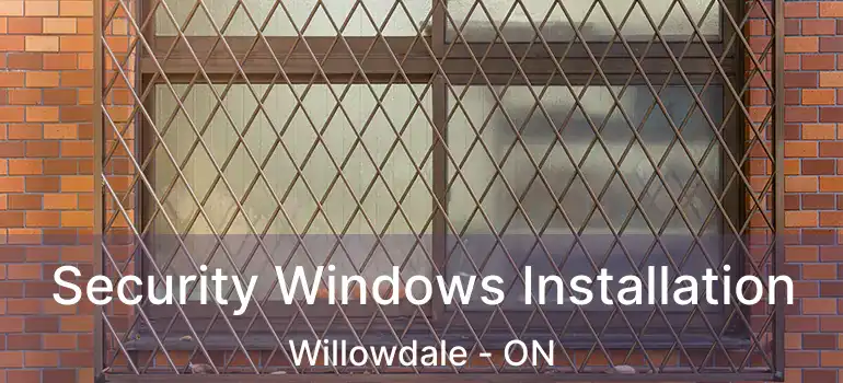  Security Windows Installation Willowdale - ON
