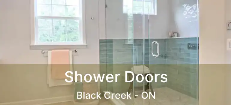  Shower Doors Black Creek - ON