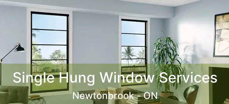  Single Hung Window Services Newtonbrook - ON