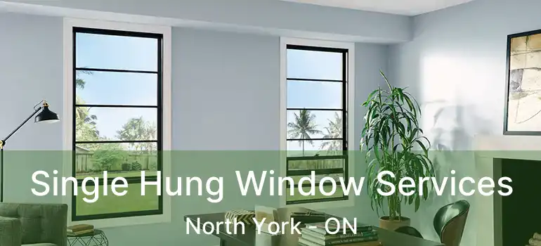  Single Hung Window Services North York - ON