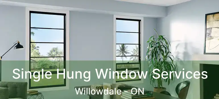  Single Hung Window Services Willowdale - ON