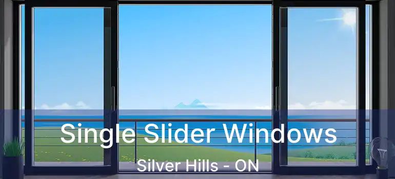  Single Slider Windows Silver Hills - ON