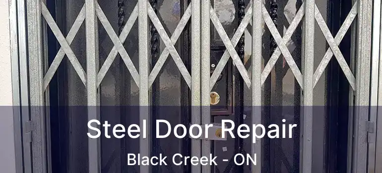  Steel Door Repair Black Creek - ON