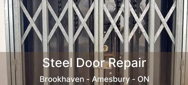  Steel Door Repair Brookhaven - Amesbury - ON