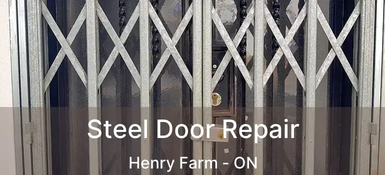  Steel Door Repair Henry Farm - ON
