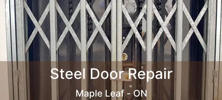  Steel Door Repair Maple Leaf - ON