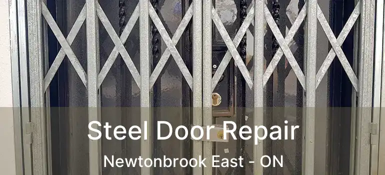  Steel Door Repair Newtonbrook East - ON
