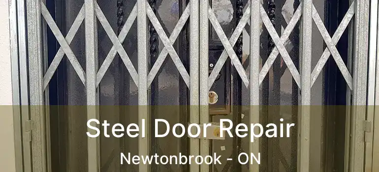  Steel Door Repair Newtonbrook - ON