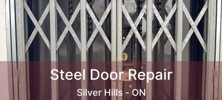  Steel Door Repair Silver Hills - ON