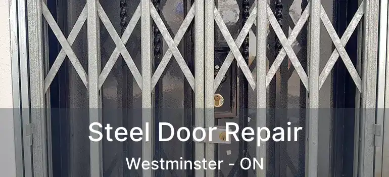  Steel Door Repair Westminster - ON