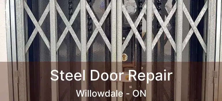  Steel Door Repair Willowdale - ON