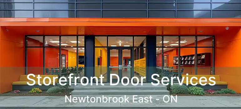 Storefront Door Services Newtonbrook East - ON