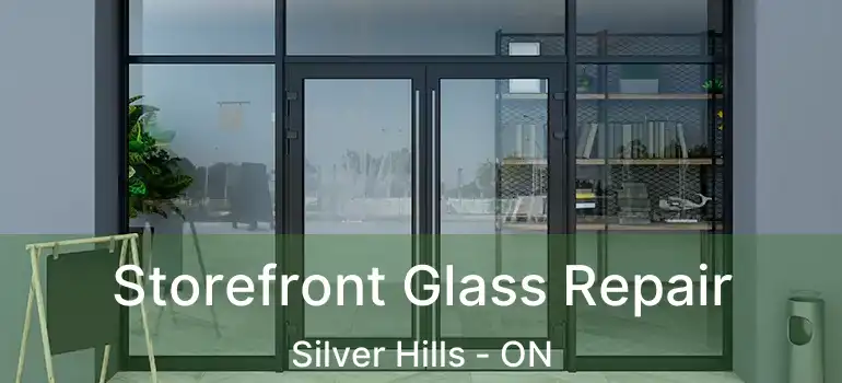  Storefront Glass Repair Silver Hills - ON