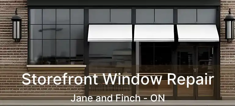  Storefront Window Repair Jane and Finch - ON