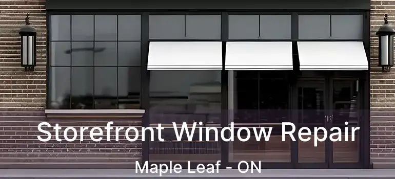  Storefront Window Repair Maple Leaf - ON
