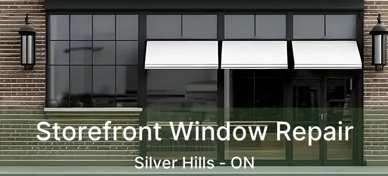  Storefront Window Repair Silver Hills - ON