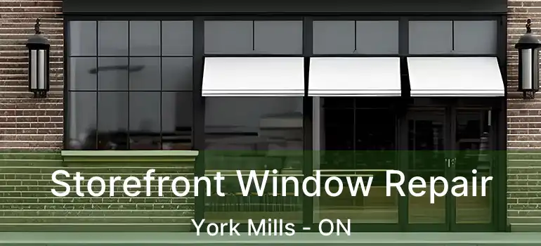  Storefront Window Repair York Mills - ON