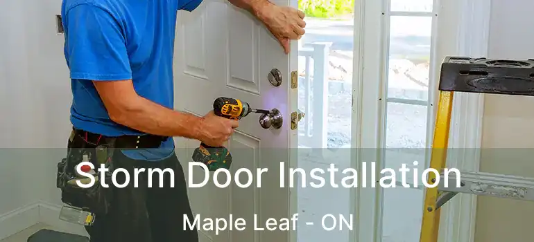  Storm Door Installation Maple Leaf - ON