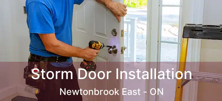  Storm Door Installation Newtonbrook East - ON