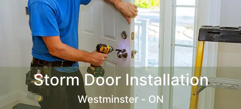  Storm Door Installation Westminster - ON