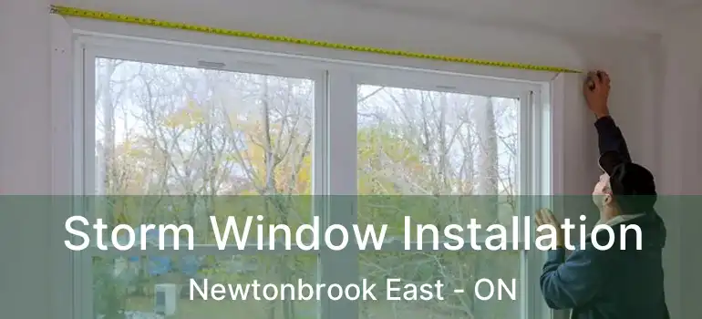  Storm Window Installation Newtonbrook East - ON