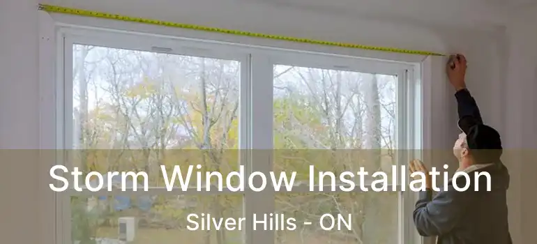  Storm Window Installation Silver Hills - ON