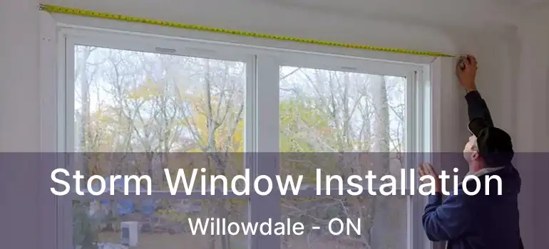  Storm Window Installation Willowdale - ON
