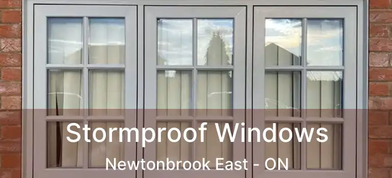  Stormproof Windows Newtonbrook East - ON