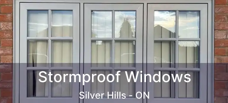  Stormproof Windows Silver Hills - ON
