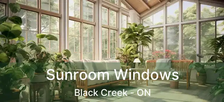  Sunroom Windows Black Creek - ON