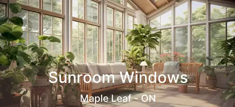  Sunroom Windows Maple Leaf - ON