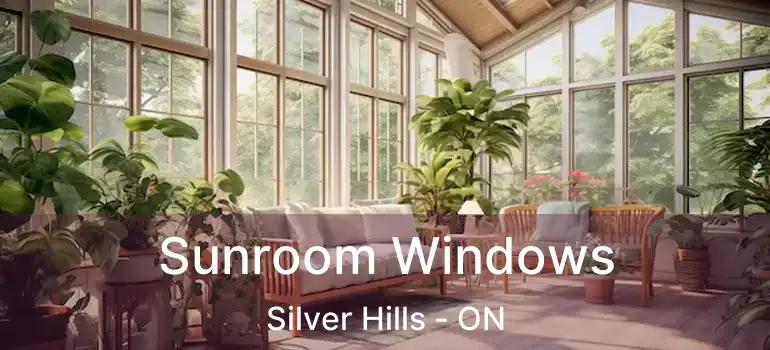  Sunroom Windows Silver Hills - ON