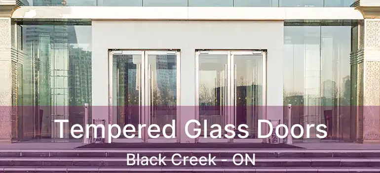  Tempered Glass Doors Black Creek - ON