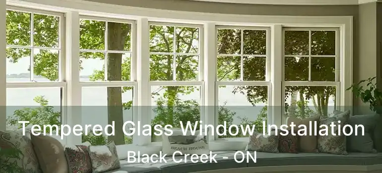  Tempered Glass Window Installation Black Creek - ON