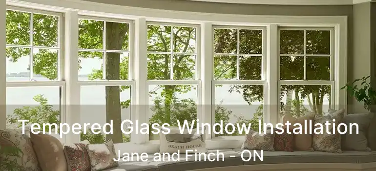  Tempered Glass Window Installation Jane and Finch - ON