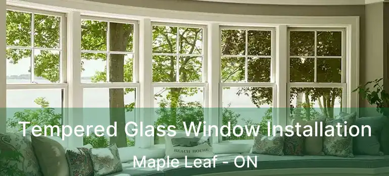  Tempered Glass Window Installation Maple Leaf - ON