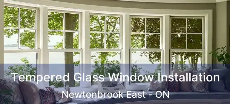  Tempered Glass Window Installation Newtonbrook East - ON