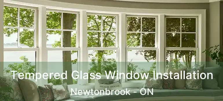  Tempered Glass Window Installation Newtonbrook - ON