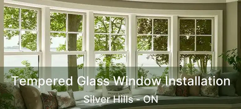  Tempered Glass Window Installation Silver Hills - ON