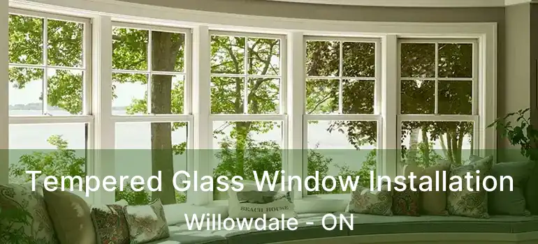  Tempered Glass Window Installation Willowdale - ON